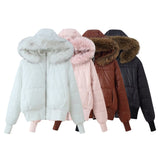 Z 2025 Spring New Knitted Neck Collar Blouse Skirt 3519028 3519029 HZ1208